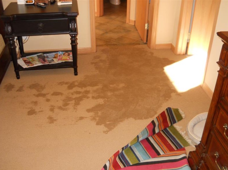 Carpet cleaning after water damage